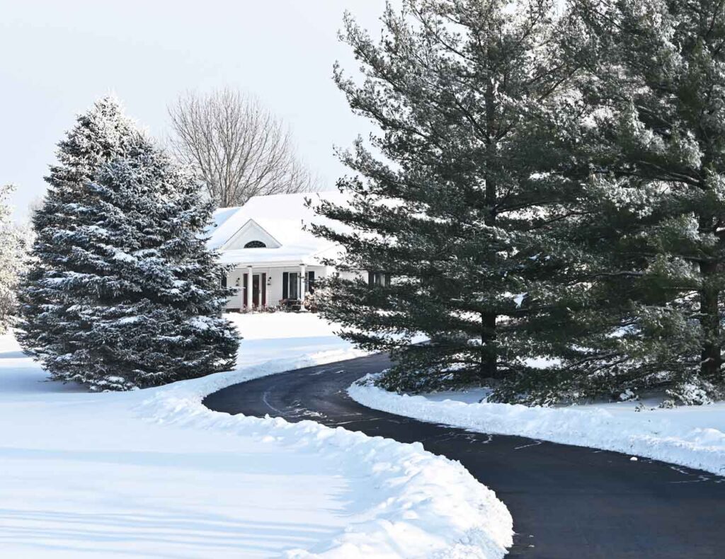 Green N White Curb Appeal Snow Driveway